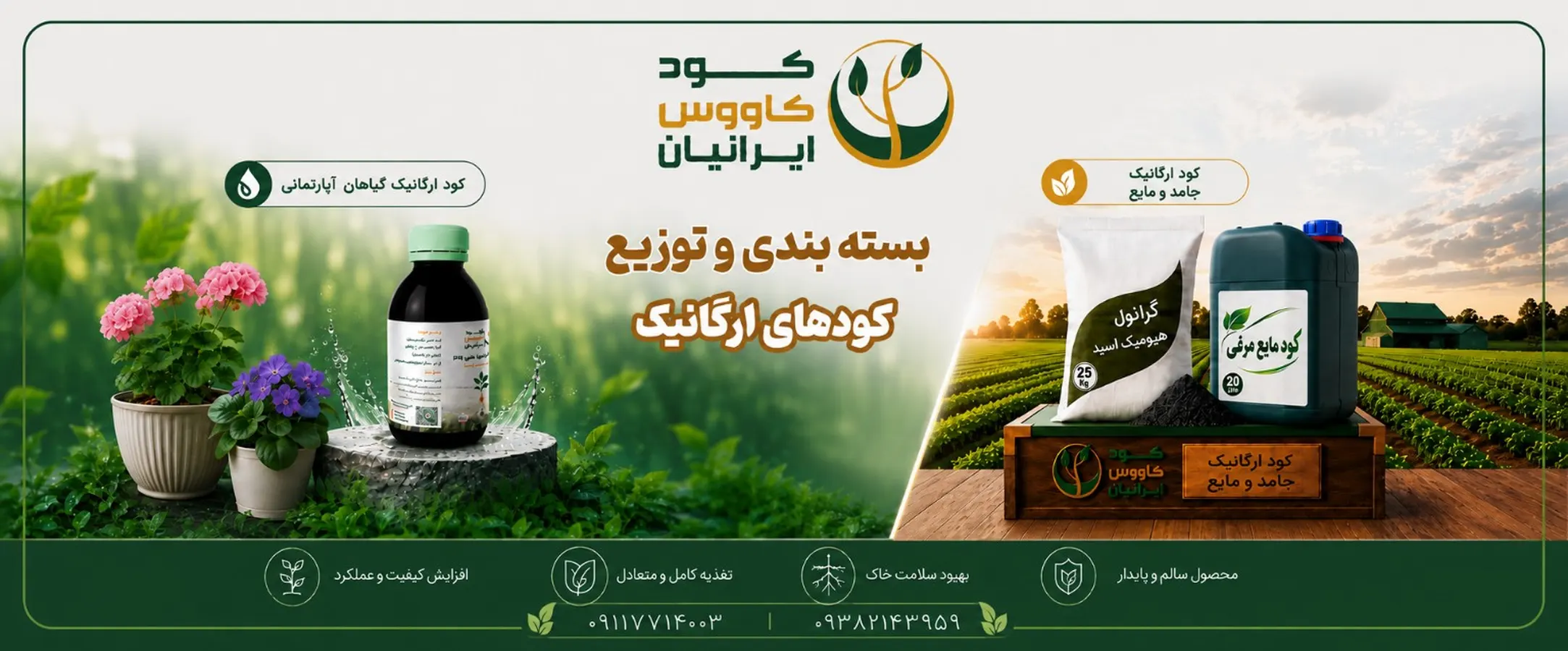 کود کاووس ایرانیان